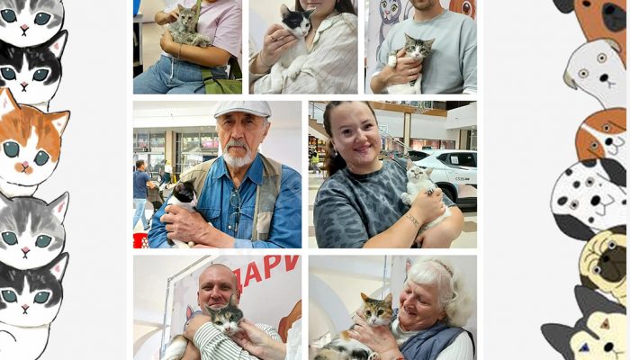Спешим поделиться итогами выставки в Мегацентре 